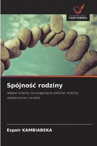 bokomslag Spójno?c rodziny
