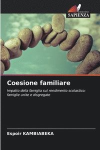 bokomslag Coesione familiare