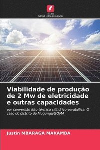 bokomslag Viabilidade de produção de 2 Mw de eletricidade e outras capacidades