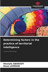 bokomslag Determining factors in the practice of territorial intelligence