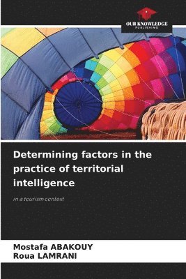 bokomslag Determining factors in the practice of territorial intelligence