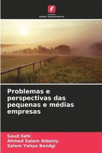 bokomslag Problemas e perspectivas das pequenas e médias empresas