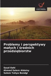 bokomslag Problemy i perspektywy malych i ?rednich przedsi?biorstw
