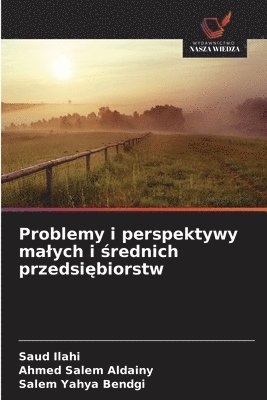 bokomslag Problemy i perspektywy malych i ?rednich przedsi?biorstw