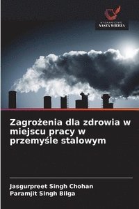 bokomslag Zagro?enia dla zdrowia w miejscu pracy w przemy?le stalowym