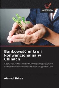 bokomslag Bankowo?c mikro i konwencjonalna w Chinach