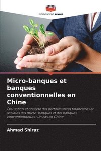 bokomslag Micro-banques et banques conventionnelles en Chine