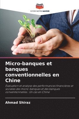 bokomslag Micro-banques et banques conventionnelles en Chine