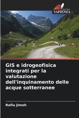 bokomslag GIS e idrogeofisica integrati per la valutazione dell'inquinamento delle acque sotterranee