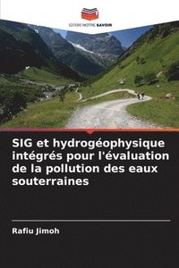 bokomslag SIG et hydrogéophysique intégrés pour l'évaluation de la pollution des eaux souterraines
