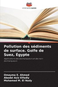 bokomslag Pollution des sédiments de surface. Golfe de Suez, Égypte