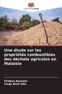 bokomslag étude sur les propriétés combustibles des déchets agricoles en Malaisie