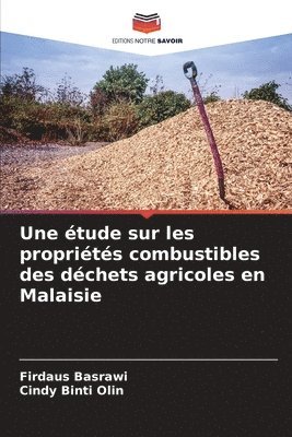 bokomslag étude sur les propriétés combustibles des déchets agricoles en Malaisie