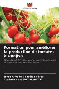 bokomslag Formation pour améliorer la production de tomates à Ondjiva