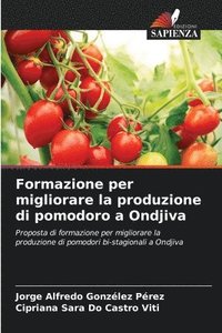 bokomslag Formazione per migliorare la produzione di pomodoro a Ondjiva