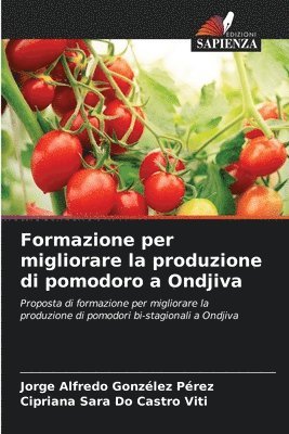 bokomslag Formazione per migliorare la produzione di pomodoro a Ondjiva