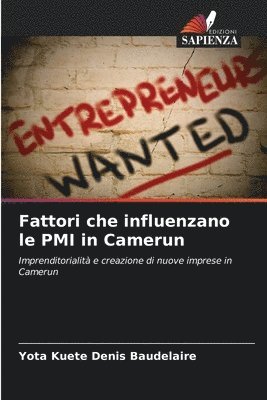 Fattori che influenzano le PMI in Camerun