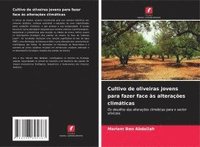 bokomslag Cultivo de oliveiras jovens para fazer face às alterações climáticas