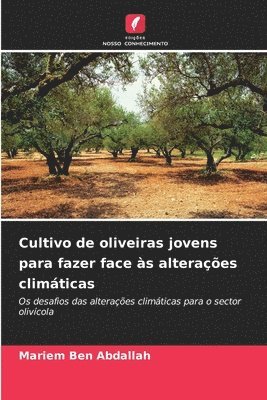 Cultivo de oliveiras jovens para fazer face às alterações climáticas