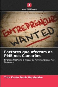 bokomslag Factores que afectam as PME nos Camarões