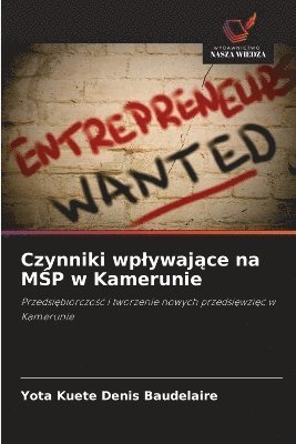 bokomslag Czynniki wplywaj?ce na M?P w Kamerunie