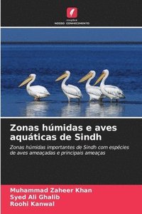 bokomslag Zonas húmidas e aves aquáticas de Sindh