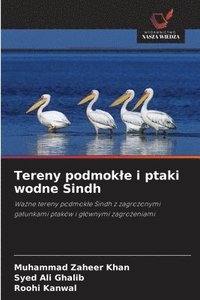 bokomslag Tereny podmokle i ptaki wodne Sindh