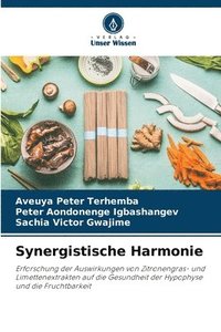bokomslag Synergistische Harmonie