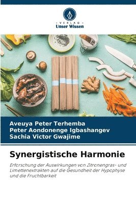 bokomslag Synergistische Harmonie