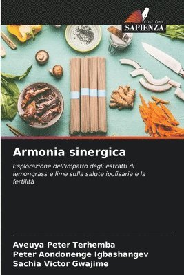 bokomslag Armonia sinergica