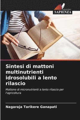 bokomslag Sintesi di mattoni multinutrienti idrosolubili a lento rilascio