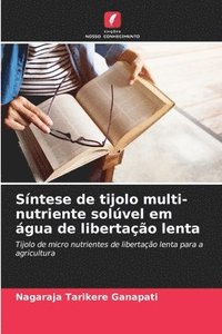 bokomslag Síntese de tijolo multi-nutriente solúvel em água de libertação lenta