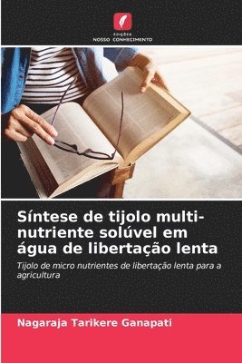 Nagaraja Tarikere Ganapati - Síntese de tijolo multi-nutriente solúvel em água de libertação lenta, Häftad
