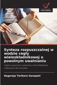 bokomslag Synteza rozpuszczalnej w wodzie cegly wieloskladnikowej o powolnym uwalnianiu