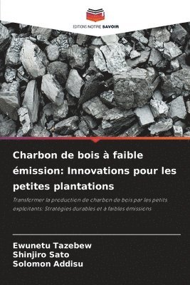 bokomslag Charbon de bois à faible émission