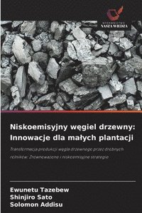 bokomslag Niskoemisyjny w?giel drzewny: Innowacje dla malych plantacji