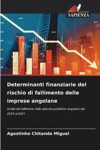 bokomslag Determinanti finanziarie del rischio di fallimento delle imprese angolane