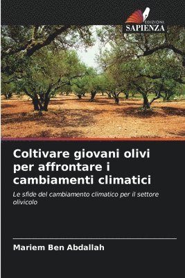 Coltivare giovani olivi per affrontare i cambiamenti climatici
