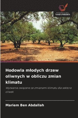 Hodowla mlodych drzew oliwnych w obliczu zmian klimatu