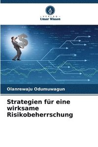 bokomslag Strategien für eine wirksame Risikobeherrschung