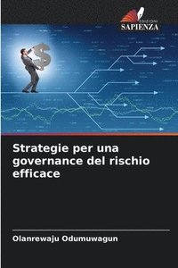 bokomslag Strategie per una governance del rischio efficace