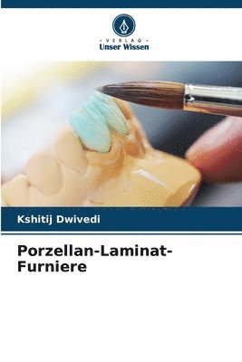 bokomslag Porzellan-Laminat-Furniere