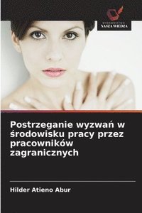 bokomslag Postrzeganie wyzwa? w ?rodowisku pracy przez pracowników zagranicznych