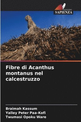 bokomslag Fibre di Acanthus montanus nel calcestruzzo