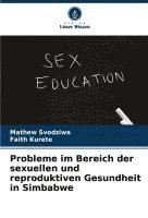 bokomslag Probleme im Bereich der sexuellen und reproduktiven Gesundheit in Simbabwe