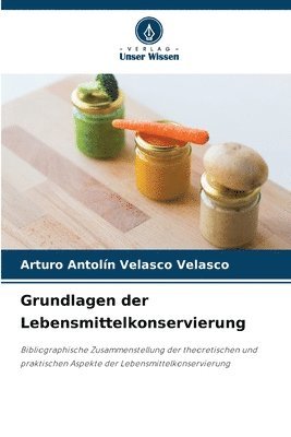 Arturo Antolín Velasco Velasco, Arturo Antolín - Grundlagen der Lebensmittelkonservierung, Häftad