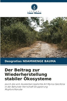 Deogratias Ndamwenge Bauma, Deogratias NDAMWENGE BAUMA - Beitrag zur Wiederherstellung stabiler Ökosysteme, Häftad