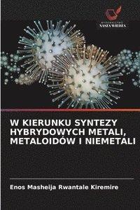 bokomslag W Kierunku Syntezy Hybrydowych Metali, Metaloidów I Niemetali