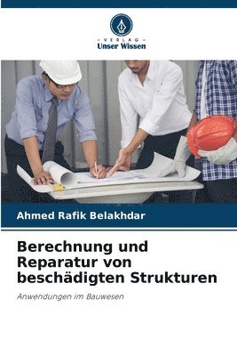 bokomslag Berechnung und Reparatur von beschädigten Strukturen