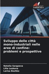 bokomslag Sviluppo delle città mono-industriali nelle aree di confine: problemi e prospettive